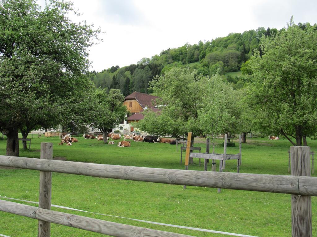 Ferienwohnung Donisbauerhof Lieserbrücke Exterior foto